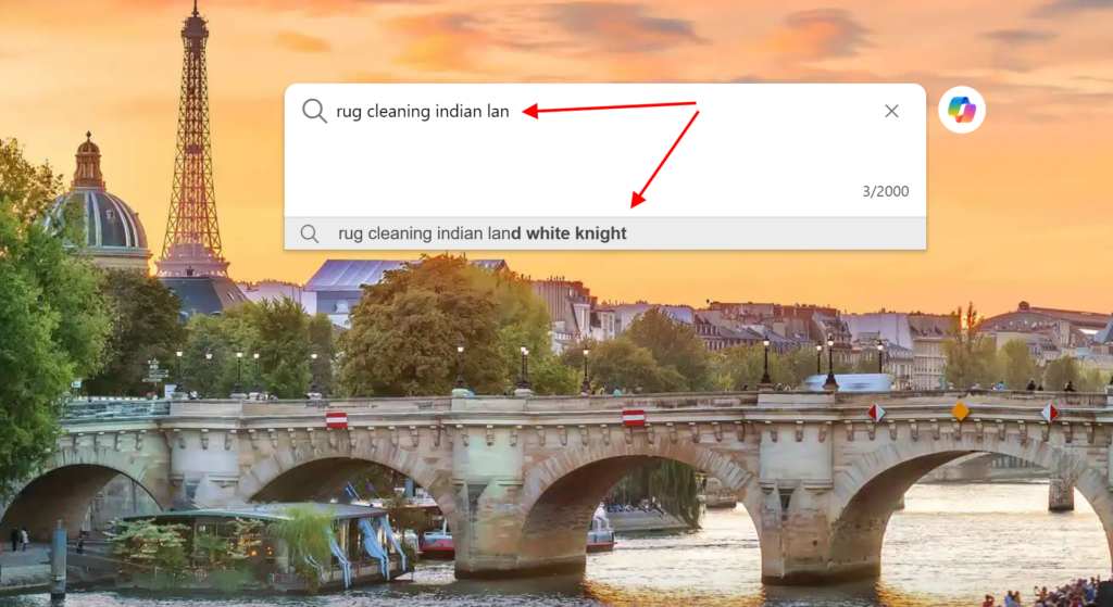 Search bar showing auto-suggested term for rug cleaning services, with a Paris bridge and Eiffel Tower at sunset in the background